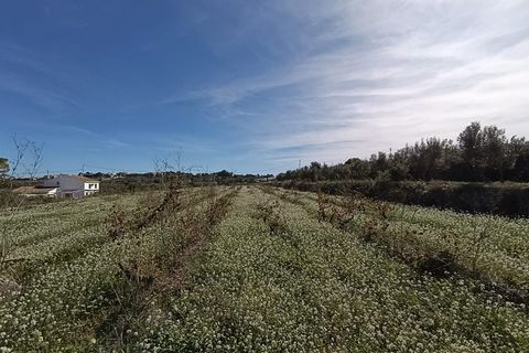 Helårsgrund i Benissa, Alicante, Benissa - € 137.000 | Ref: P209 - foto 9