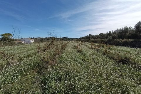 Helårsgrund i Benissa, Alicante, Benissa - € 137.000 | Ref: P209 - foto 10