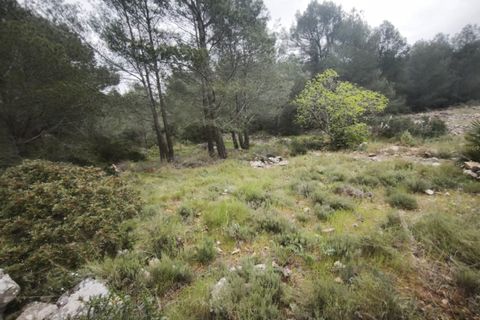 Landejendom i Jalon, Alicante, Jalon - € 149.900 | Ref: C607 - foto 16
