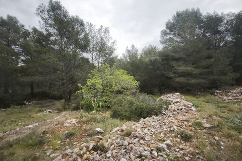 Landejendom i Jalon, Alicante, Jalon - € 149.900 | Ref: C607 - foto 17
