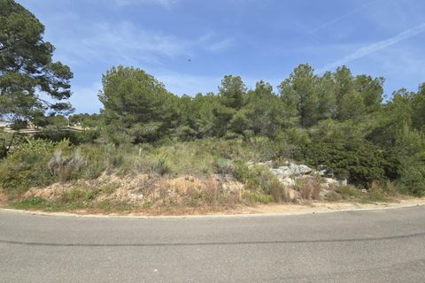 Terra a Torrent, Valencia, Torrent - € 81.000 | Ref: GdV-CAL-JN/10759 - foto 5