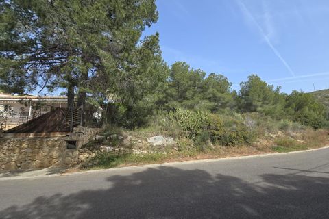 Terra a Torrent, Valencia, Torrent - € 81.000 | Ref: GdV-CAL-JN/10759 - foto 6