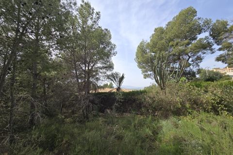 Terra a Torrent, Valencia, Torrent - € 81.000 | Ref: GdV-CAL-JN/10759 - foto 7