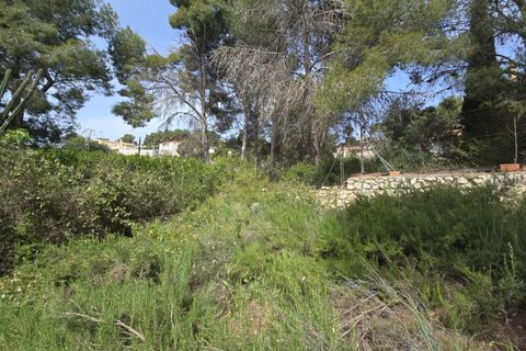 Terra a Torrent, Valencia, Torrent - € 81.000 | Ref: GdV-CAL-JN/10759 - foto 8