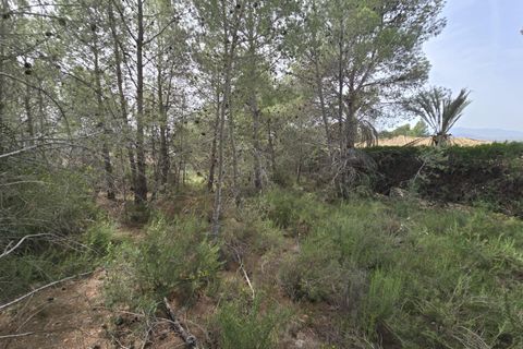 Terra a Torrent, Valencia, Torrent - € 81.000 | Ref: GdV-CAL-JN/10759 - foto 9