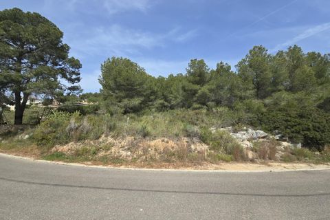 Terra a Torrent, Valencia, Torrent - € 81.000 | Ref: GdV-CAL-JN/10759 - foto 10