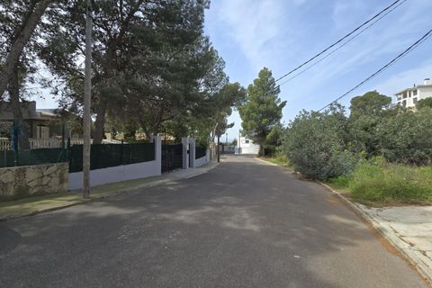 Terra a Torrent, Valencia, Torrent - € 81.000 | Ref: GdV-CAL-JN/10759 - foto 13