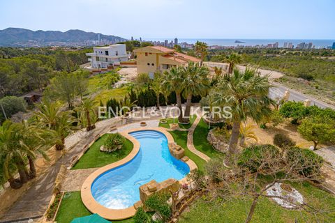 Villa en Benidorm, Alicante, Benidorm - € 1.635.000 | Ref: W-020Z7E - photo 5