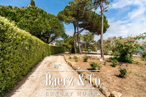 Villa i Sintra, Lisbon, Sintra - € 2.300.000 | Ref: CAS_7619-0525645490 - foto 31