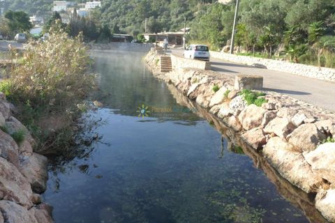 Terra a Oliva, Valencia, Oliva - € 120.000 | Ref: PNPT0005 - foto 12