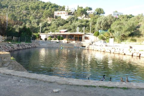 Terra a Oliva, Valencia, Oliva - € 120.000 | Ref: PNPT0005 - foto 13