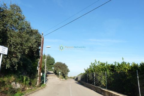 Terra a Oliva, Valencia, Oliva - € 120.000 | Ref: PNPT0005 - foto 11