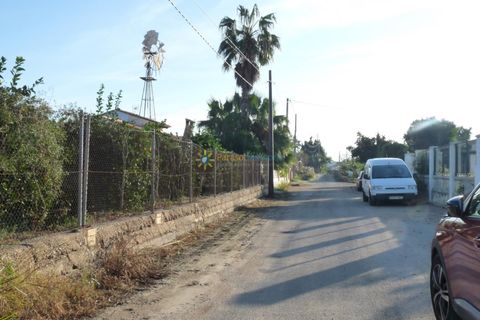Terra a Oliva, Valencia, Oliva - € 120.000 | Ref: PNPT0005 - foto 8