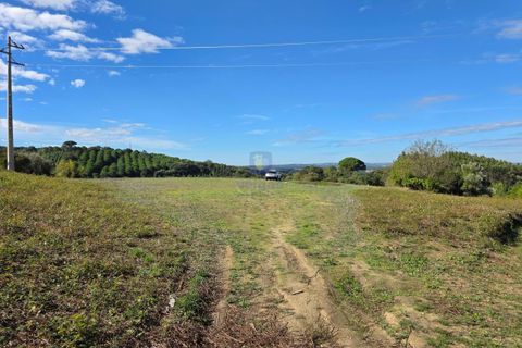 Helårsgrund i Cadaval, Lisbon, Cadaval - € 120.000 | Ref: CAL-217079 - foto 2