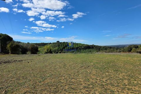 Helårsgrund i Cadaval, Lisbon, Cadaval - € 120.000 | Ref: CAL-217079 - foto 3