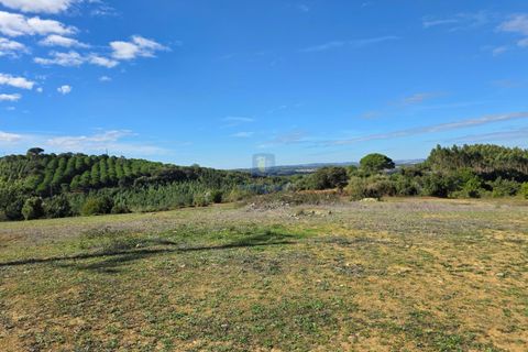 Helårsgrund i Cadaval, Lisbon, Cadaval - € 120.000 | Ref: CAL-217079 - foto 4