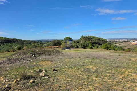 Helårsgrund i Cadaval, Lisbon, Cadaval - € 120.000 | Ref: CAL-217079 - foto 7