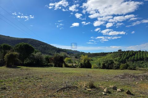 Helårsgrund i Cadaval, Lisbon, Cadaval - € 120.000 | Ref: CAL-217079 - foto 10