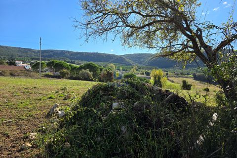 Helårsgrund i Cadaval, Lisbon, Cadaval - € 120.000 | Ref: CAL-217079 - foto 12