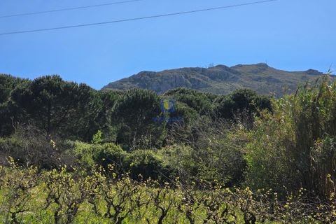 Helårsgrund i Cadaval, Lisbon, Cadaval - € 65.000 | Ref: CAL-217080 - foto 1