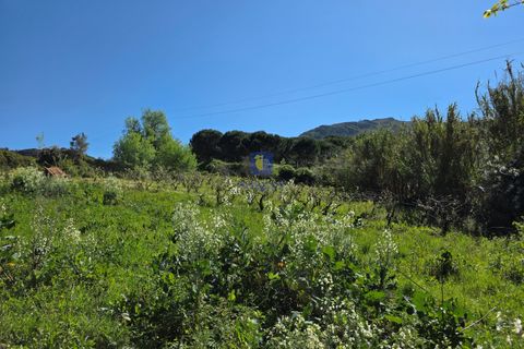 Helårsgrund i Cadaval, Lisbon, Cadaval - € 65.000 | Ref: CAL-217080 - foto 2