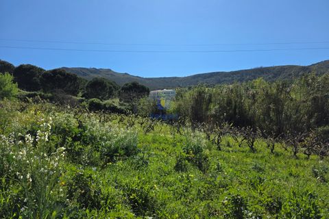 Helårsgrund i Cadaval, Lisbon, Cadaval - € 65.000 | Ref: CAL-217080 - foto 3