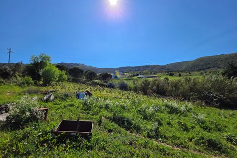 Helårsgrund i Cadaval, Lisbon, Cadaval - € 65.000 | Ref: CAL-217080 - foto 4