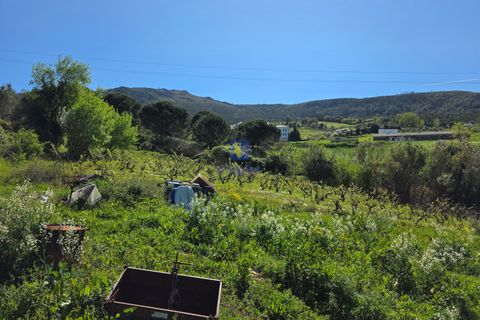 Helårsgrund i Cadaval, Lisbon, Cadaval - € 65.000 | Ref: CAL-217080 - foto 5