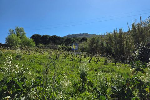 Helårsgrund i Cadaval, Lisbon, Cadaval - € 65.000 | Ref: CAL-217080 - foto 6
