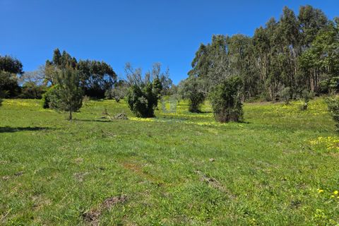 Helårsgrund i Cadaval, Lisbon, Cadaval - € 75.000 | Ref: CAL-217082 - foto 1