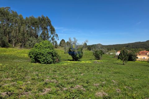 Helårsgrund i Cadaval, Lisbon, Cadaval - € 75.000 | Ref: CAL-217082 - foto 4