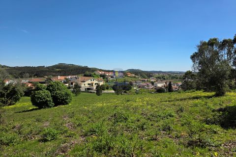 Helårsgrund i Cadaval, Lisbon, Cadaval - € 75.000 | Ref: CAL-217082 - foto 6