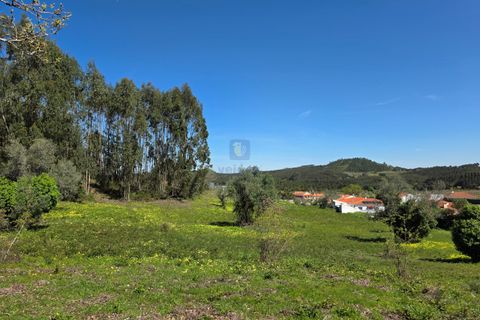 Helårsgrund i Cadaval, Lisbon, Cadaval - € 75.000 | Ref: CAL-217082 - foto 7