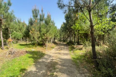 Helårsgrund i Viseu, Viseu, Viseu - € 80.000 | Ref: C0203-02632 - foto 2