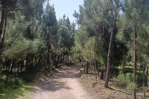 Helårsgrund i Viseu, Viseu, Viseu - € 80.000 | Ref: C0203-02632 - foto 3