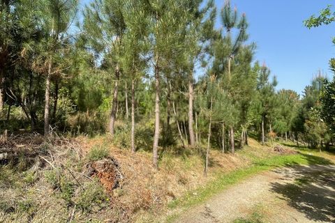 Helårsgrund i Viseu, Viseu, Viseu - € 80.000 | Ref: C0203-02632 - foto 5