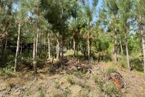 Helårsgrund i Viseu, Viseu, Viseu - € 80.000 | Ref: C0203-02632 - foto 6