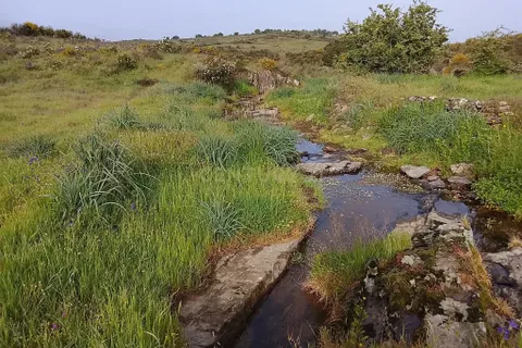 Helårsgrund i Nisa, Portalegre, Nisa - € 67.500 | Ref: C0434-01267 - foto 9