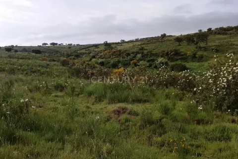 Helårsgrund i Nisa, Portalegre, Nisa - € 67.500 | Ref: C0434-01267 - foto 11