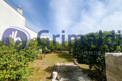 Erhvervsejendom i Scorrano, Lecce, Scorrano - € 70.000 | Ref: 70SCORRANO - foto 1