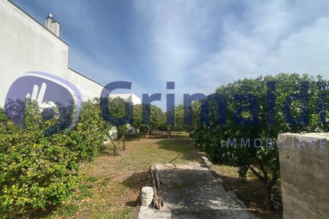 Erhvervsejendom i Scorrano, Lecce, Scorrano - € 70.000 | Ref: 70SCORRANO - foto 2