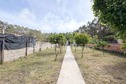 Villa a Vila do Conde, Porto, Vila do Conde - € 280.000 | Ref: CAS_351.007 - foto 30