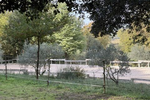 Landejendom i Brignoles, Var, Brignoles - € 655.000 | Ref: 2755-0426-ANG - foto 11