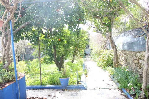 Villa i Sousel, Portalegre, Sousel - € 228.000 | Ref: C0246-03502 - foto 6