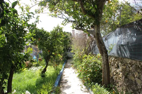 Villa i Sousel, Portalegre, Sousel - € 228.000 | Ref: C0246-03502 - foto 7