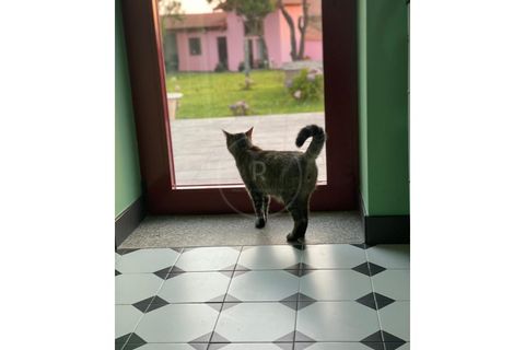 Villa i Paramos, Aveiro, Paramos - € 750.000 | Ref: 7064 - foto 11