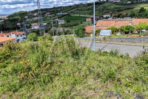 Helårsgrund i Batalha, Leiria, Batalha - € 40.000 | Ref: LRA_C_2339 - foto 4