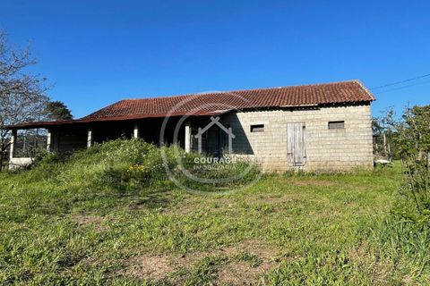 Helårsgrund i Ponte de Lima, Viana do Castelo, Ponte de Lima - € 85.000 | Ref: CD0010 - foto 2