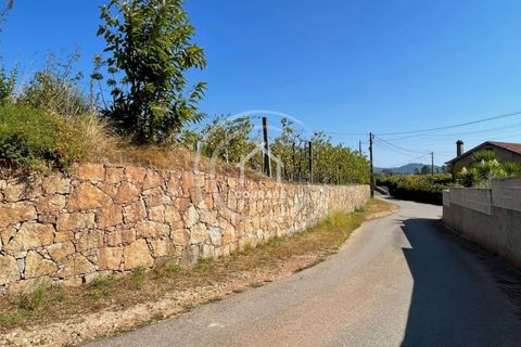 Helårsgrund i Ponte de Lima, Viana do Castelo, Ponte de Lima - € 85.000 | Ref: CD0010 - foto 8