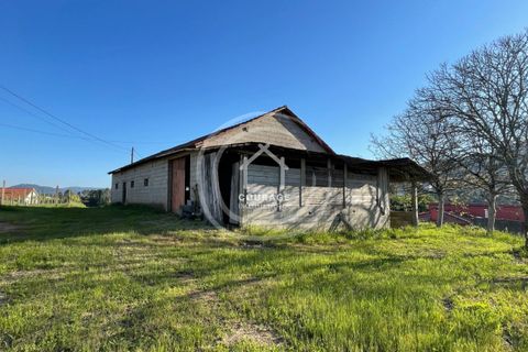 Helårsgrund i Ponte de Lima, Viana do Castelo, Ponte de Lima - € 85.000 | Ref: CD0010 - foto 12